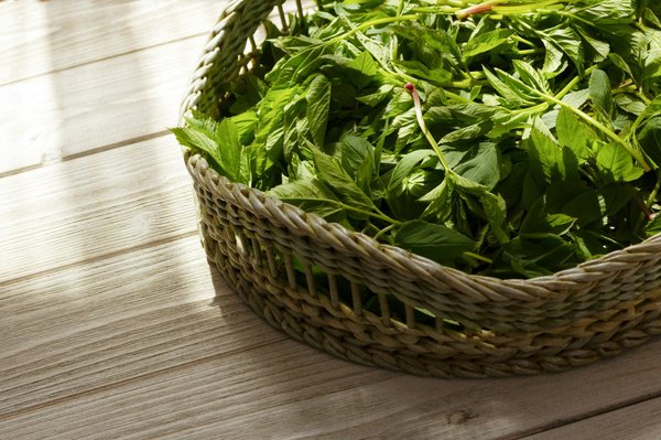 Ultra-levure avant ou après repas : quelle est la meilleure option ?